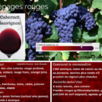 Résumé de quelques cépages
