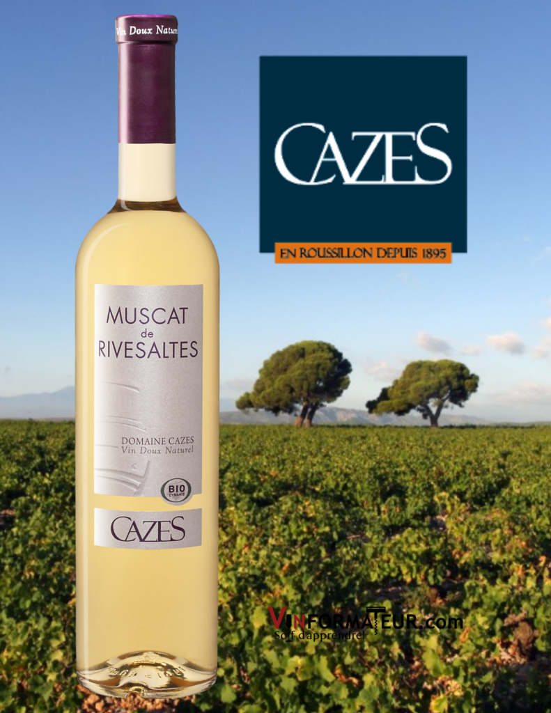 Bouteille de Muscat de Rivesaltes, Domaine Cazes, France, Languedoc-Roussillon, 2019 avec vignoble en arrière-plan