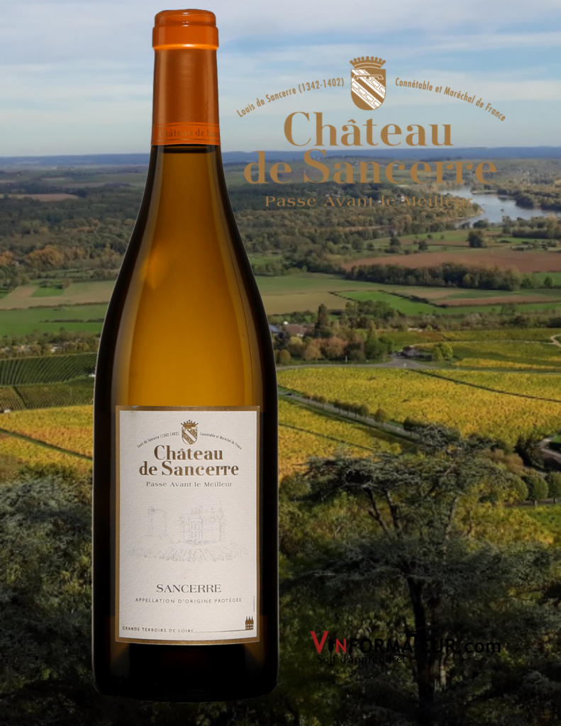 Bouteille de Château de Sancerre, Vallée de la Loire, Sancerre Blanc, 2019 avec le vignoble en arrière-plan