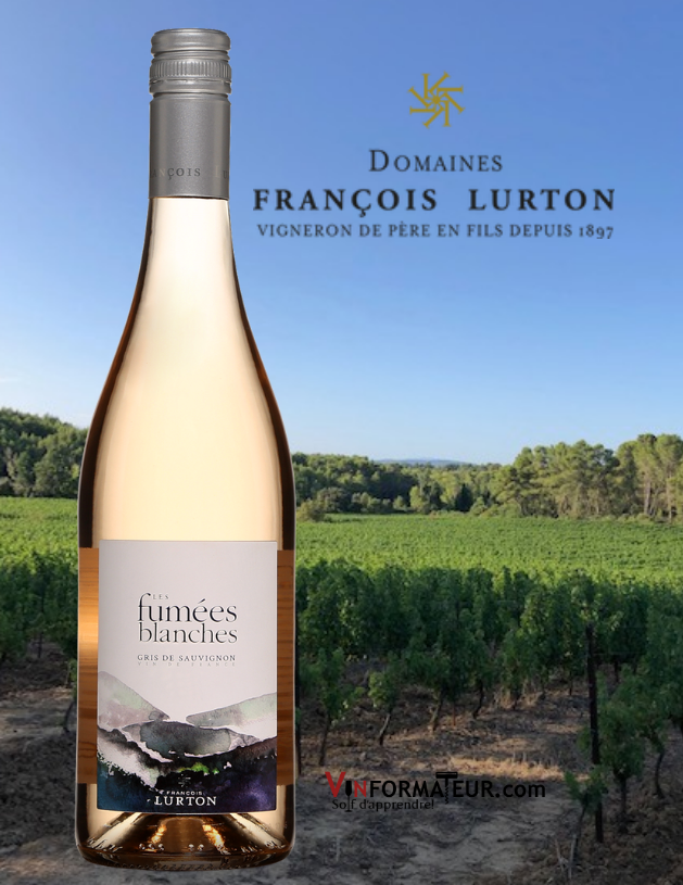 Bouteille de Fumées Blanches, Gris de Sauvignon, Vin de France, 2020 avec vignoble en arrière-plan