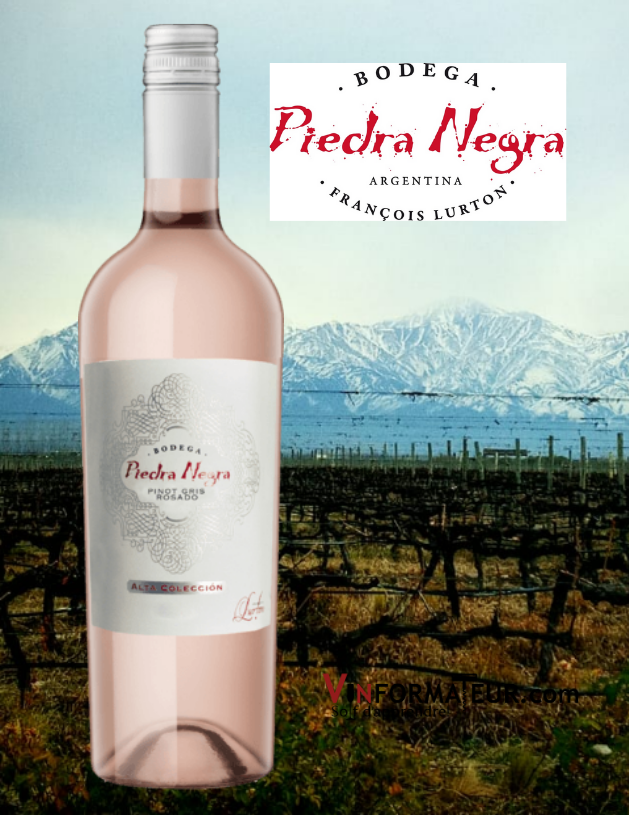 Bouteille de Piedra Negra, Pinot Gris Rosado, Alta Coleccion, Argentine, IG Los Chacayes, Valle de Uco, Mendoza, François Lurton, vin bio, 2020 avec vignoble en arrière-plan