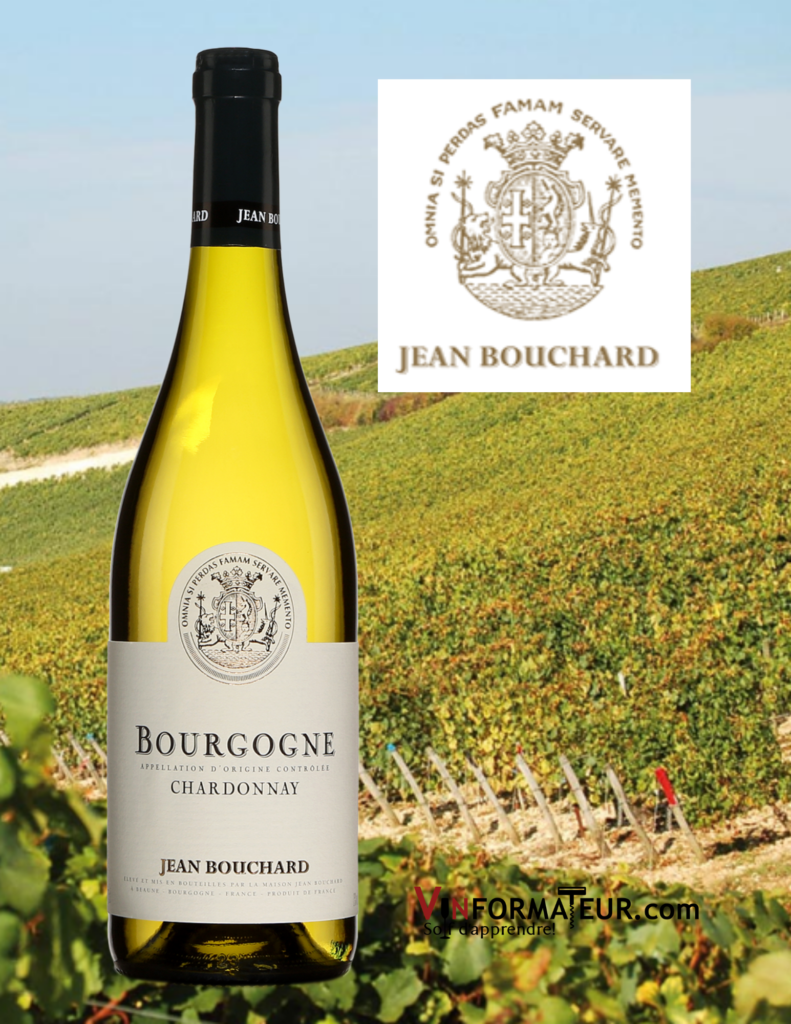 Bouteille de Chardonnay, Bourgogne, Jean Bouchard, 2019 avec vignoble en arrière-plan