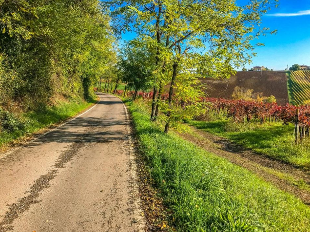 route de Castelvetro Modena