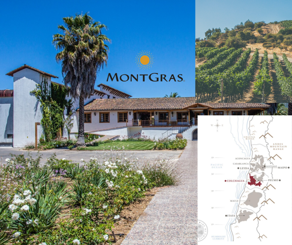 Vina Montgras - chai, vignobles et carte viticole du Chili