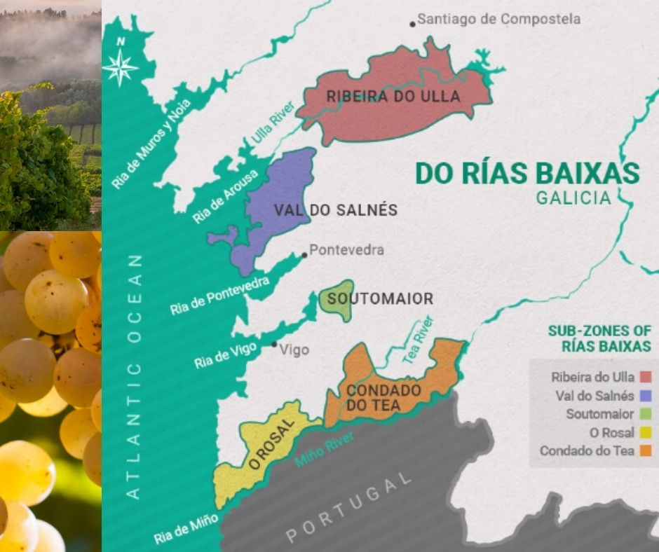 Carte viticole de Rias Baixas, Galice, Espagne