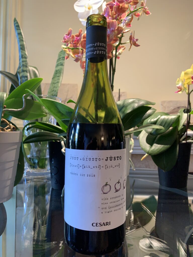 Bouteille de Justo, Italie, Veneto IGT, Gerardo Cesari, vin rouge, 2018
