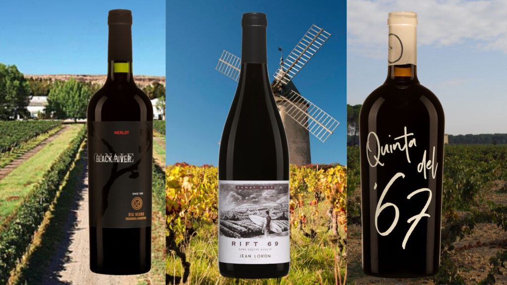 Merlot d’Argentine, Beaujolais de France et Garnacha d’Espagne!