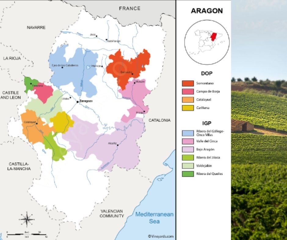 Carte viticole d'Aragon, Carinena