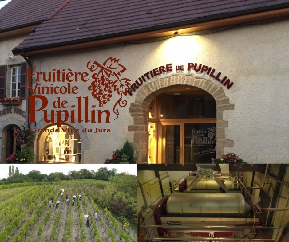 Fruitière vinicole de Pulillin, vignobles, chai