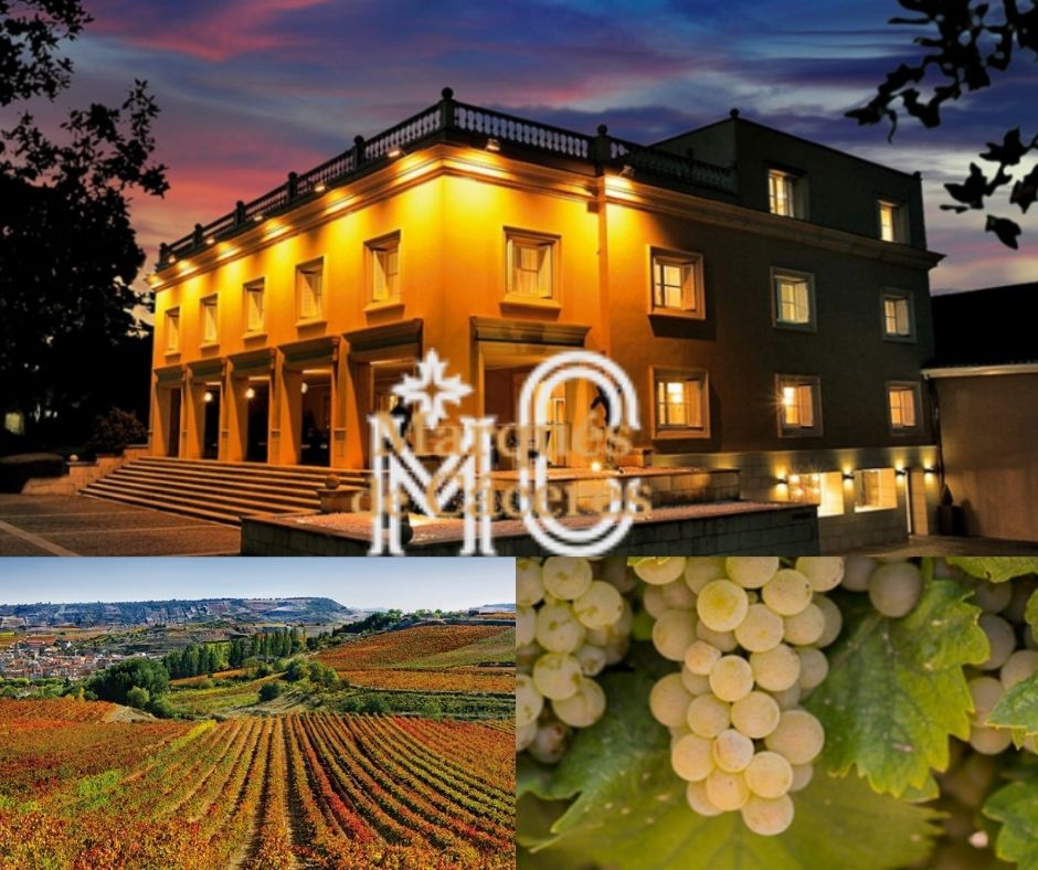 Bodegas Marques de Caceres, chai, vignobles
