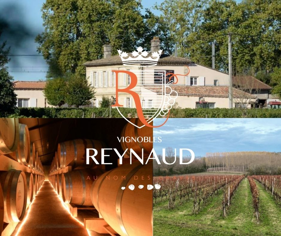 Vignobles Reynaud, chai, vignobles
