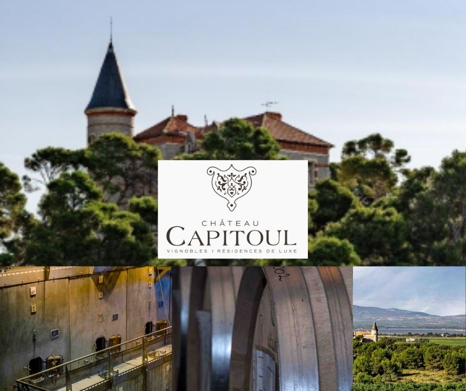 Château Capitoul: château, chai et vignobles