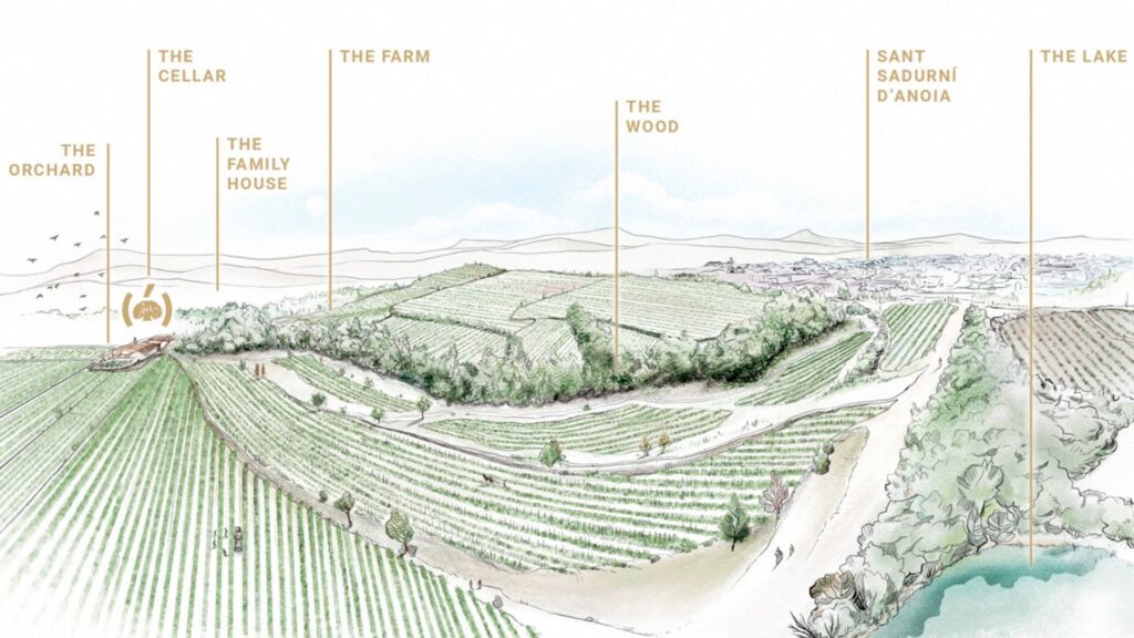 Domaine Raventos i Blanc