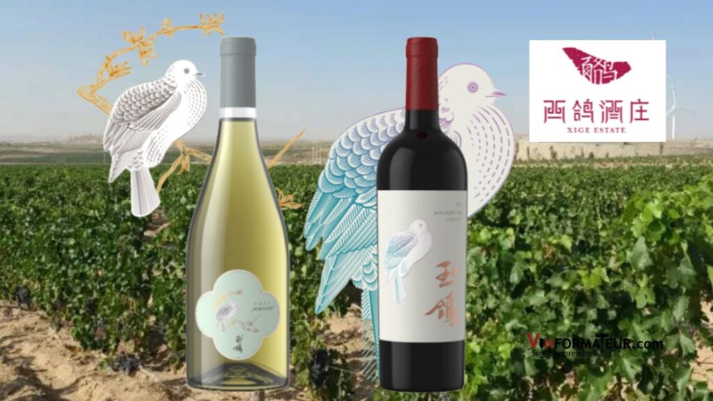 Deux vins de Chine à découvrir!! Le Chardonnay et le Cabernet-Sauvignon Jade Dove.