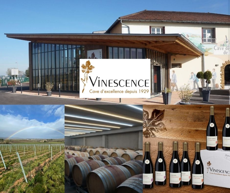 Vinescence: chai, vignobles et produits
