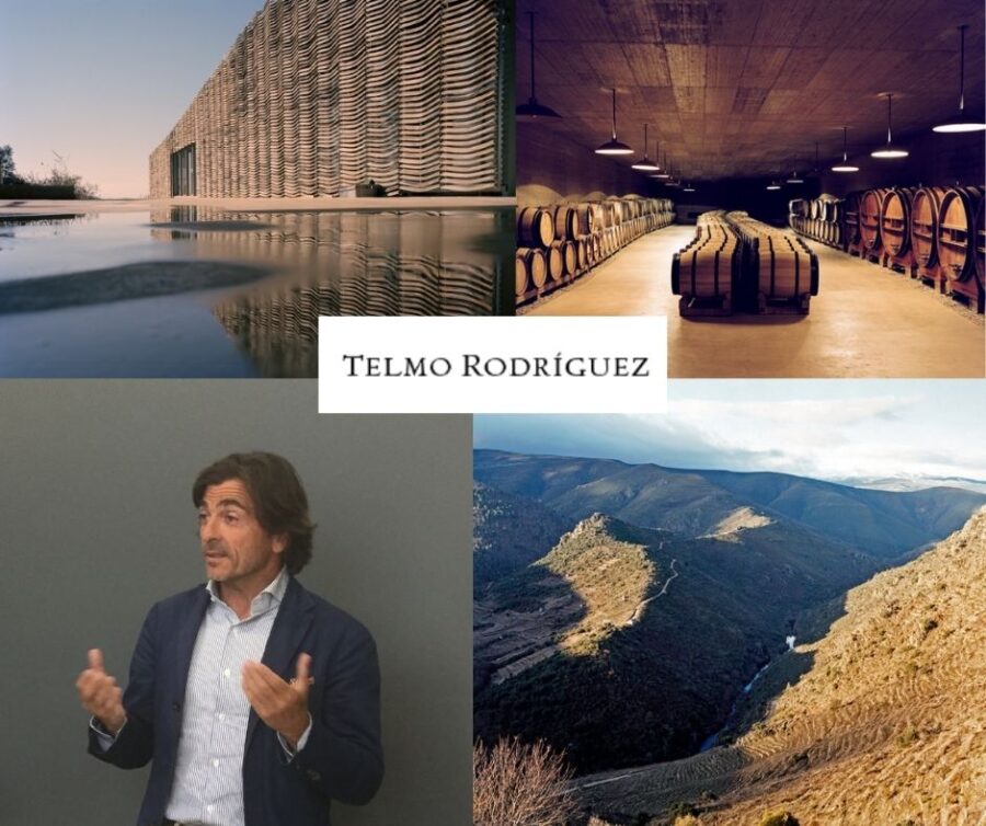 Telmo Rodrigues: Telmo Rodrigues, chai et vignobles