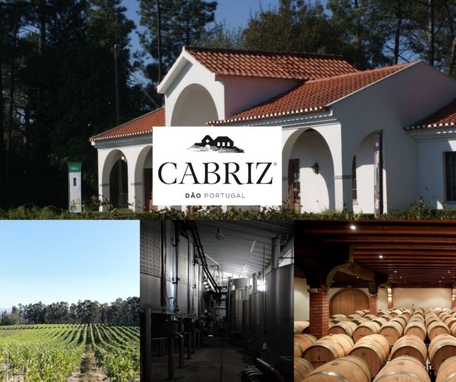 Quanta da Cabriz: chai et vignobles