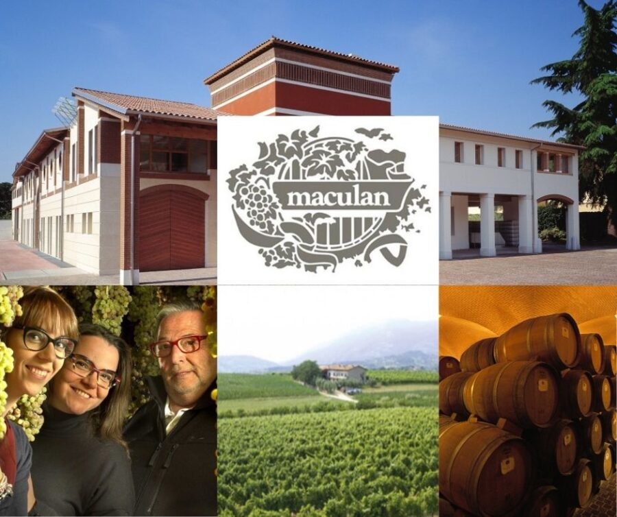 Maculan: famille Maculan, chai et vignobles