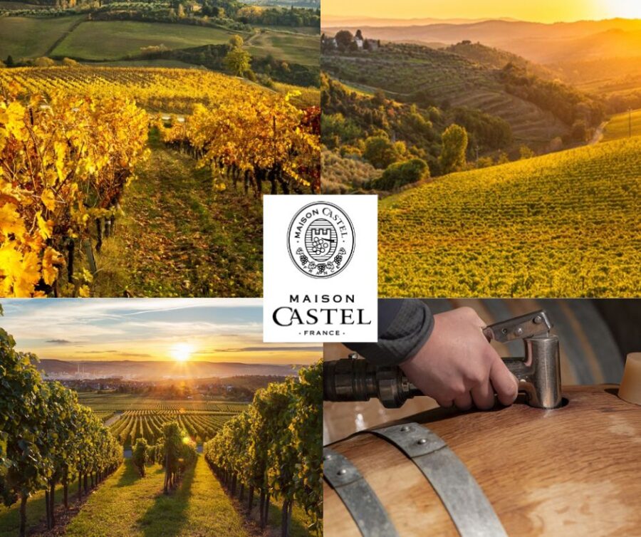 Baron de Lestac - Maison Castel: chai et vignobles