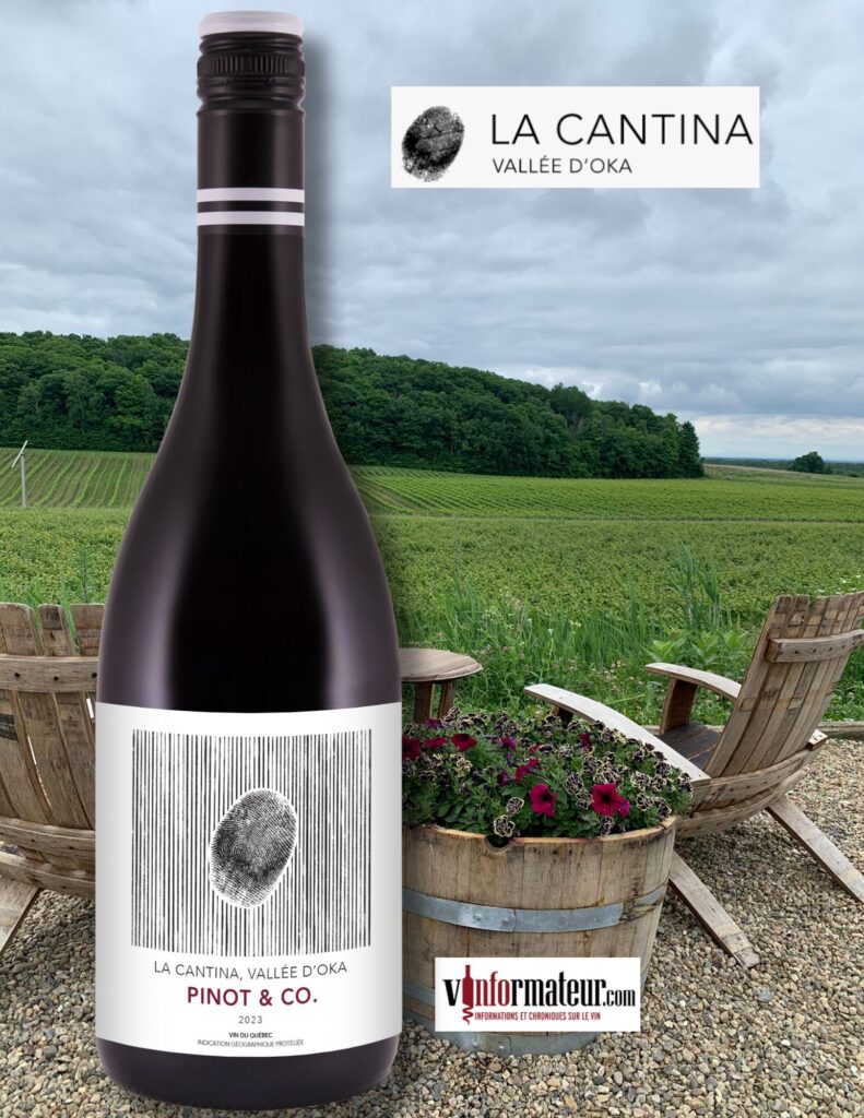 Pinot & Co, La Cantina, Vin du Québec IGP, vin rouge 2023 bouteille