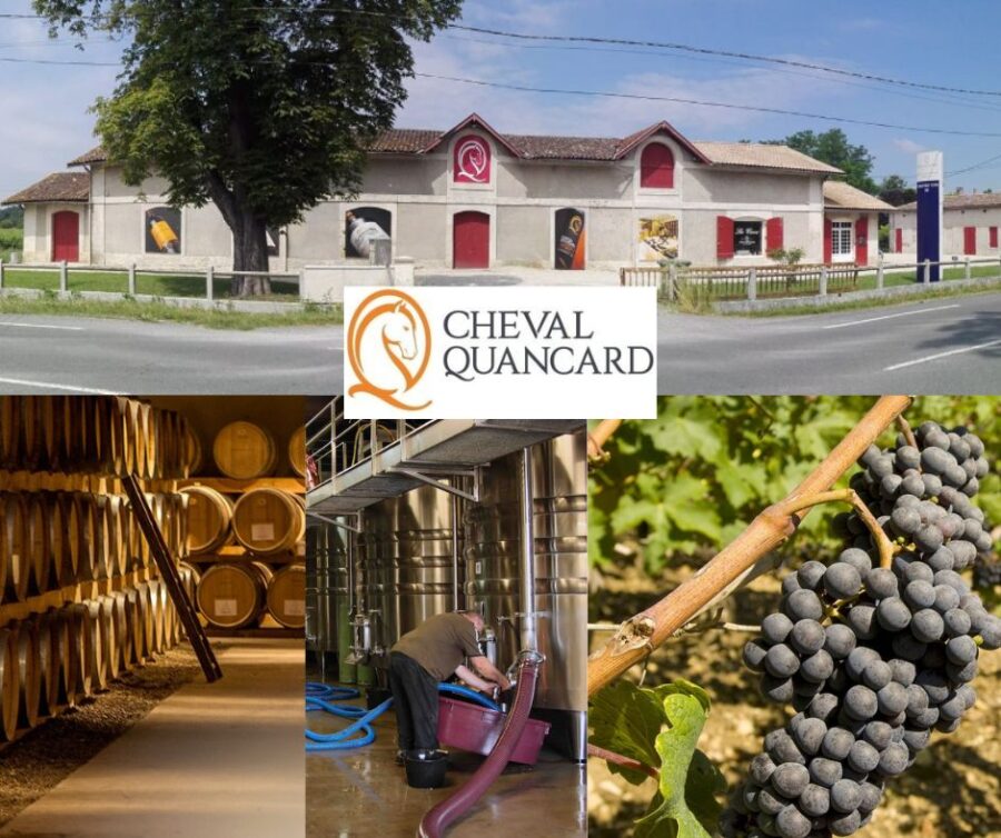 Cheval Quancard: chai et vignobles
