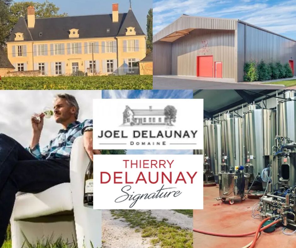Thierry Delaunay: Thierry Delaunay chai et vignobles