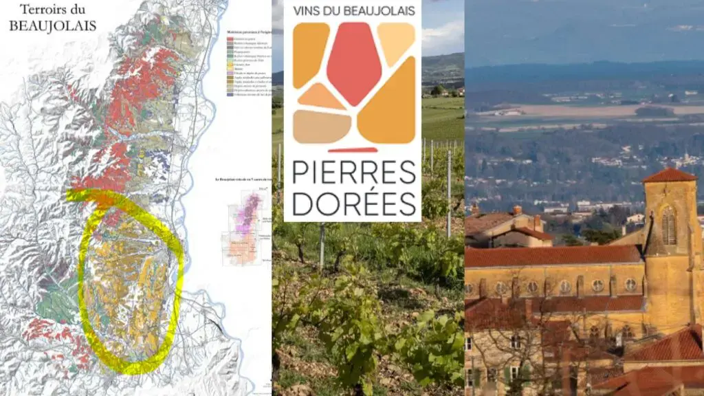 Carte viticole Beaujolais - Pierres Dorées