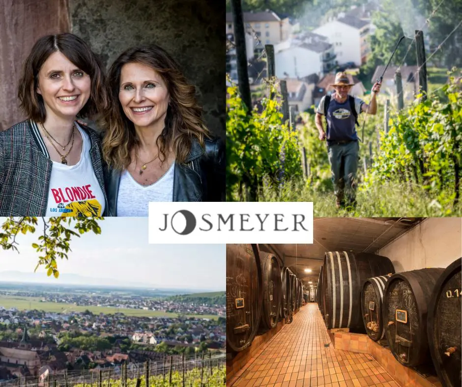 Domaine Josmeyer: Céline et Isabelle Meyer, chai et vignobles