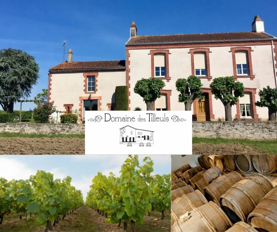 Domaine des Tilleuls: chai et vignobles