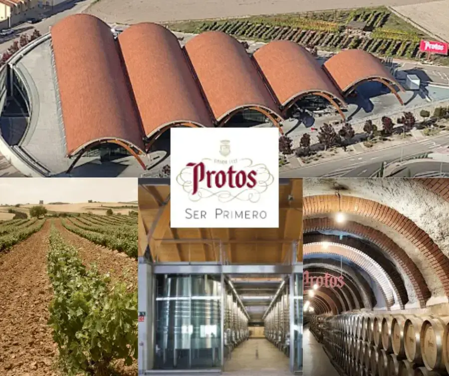 Bodegas Protos: chais, vignobles