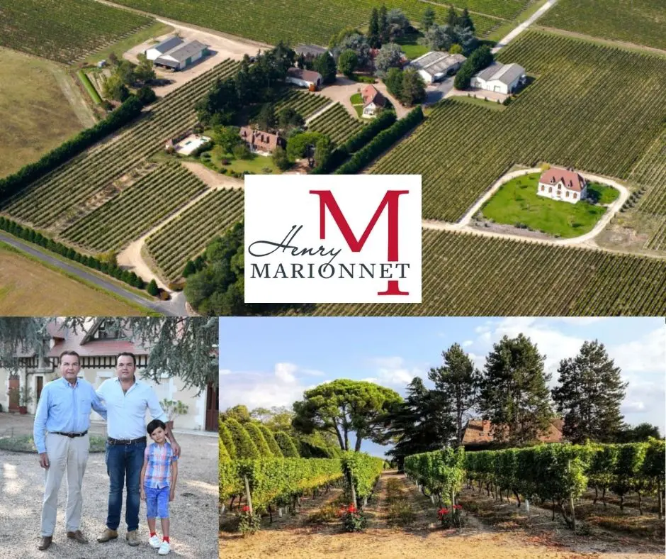 Domaine de la Charmoise: Famille Marionnet, chai et vignobles