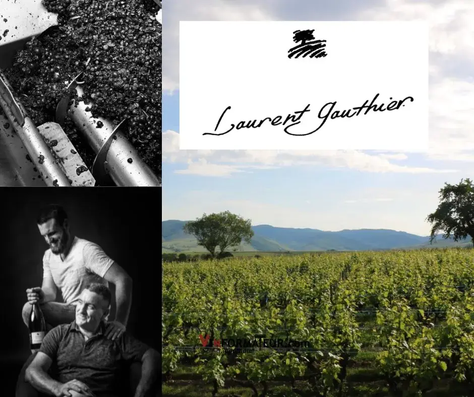 Domaine Laurent Gauthier: Famille Gauthier, chai et vignobles