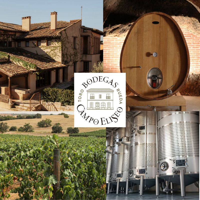 Bodegas Campo Eliseo (François Lurton): chai et vignobles