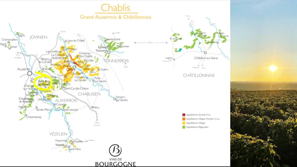 Carte viticole - Saint-Bris