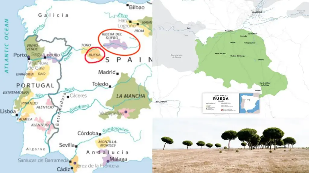 Carte viticole Rueda