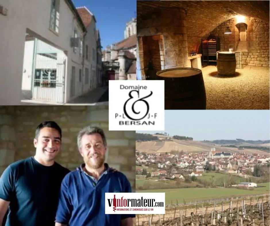 Domaine Bersan: Pierre-Louis et Jean-François, chai et vignobles